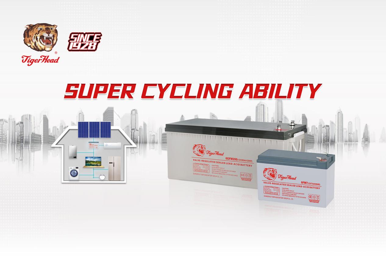 solar battery - tiger head