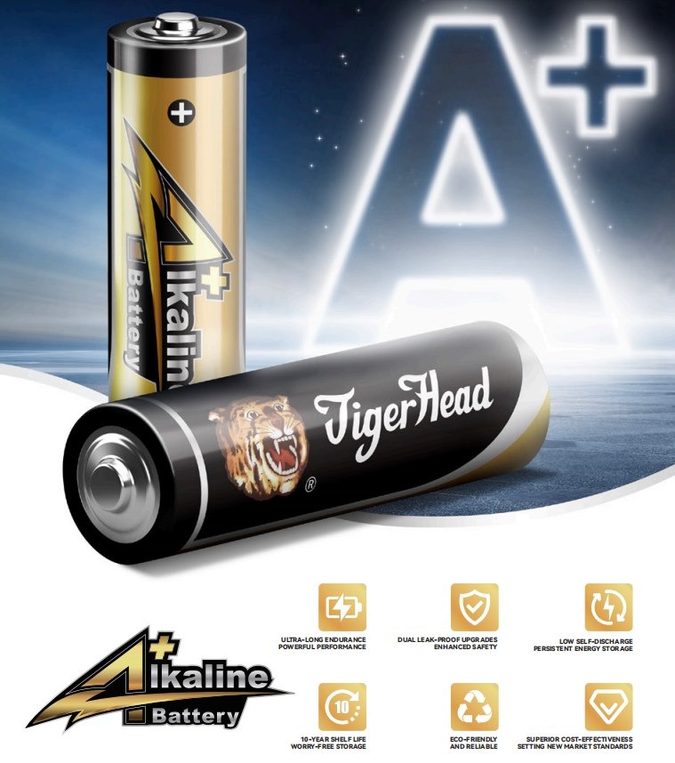 Lithium vs Alkaline Battery - The Necessity of Testing Performance, Safety