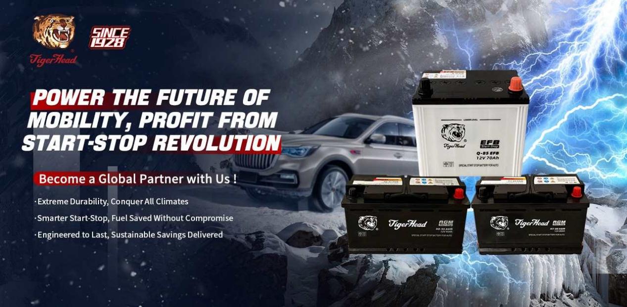 AGM EFB Start-Stop Batteries - Tiger Head